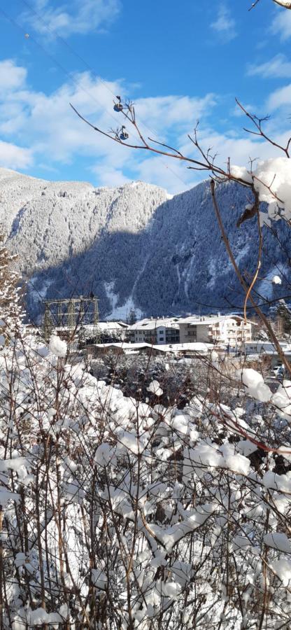 Hotel Haus Bergfriede Mayrhofen Exterior foto